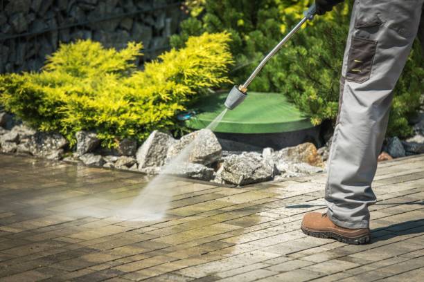 Best Animal Enclosure Cleaning  in Penrose, CO
